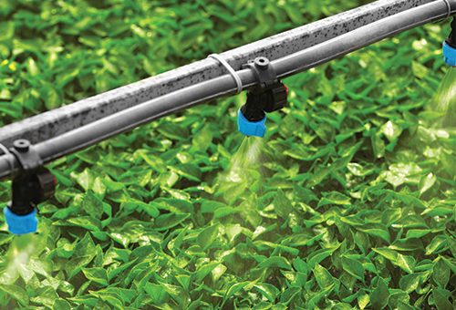 masterbatches for Drip Pipe & Sprinkler