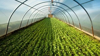 UV Masterbatch for agriculture sector