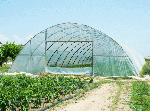 Uv Stabilizers Masterbatch